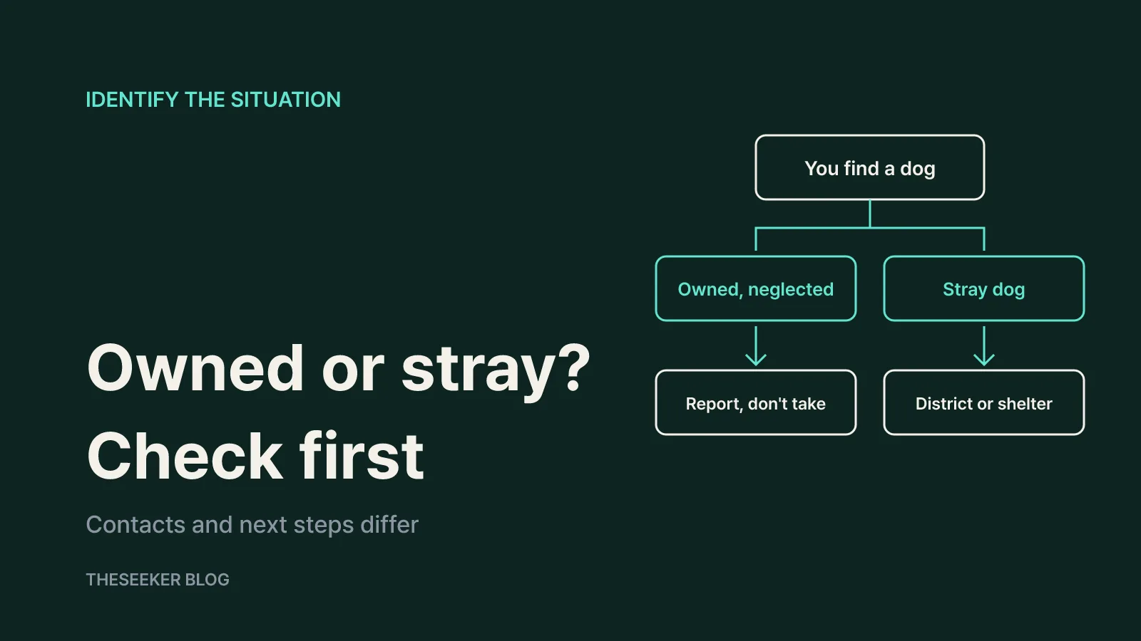 First, decide which situation you are in: owned dog or stray