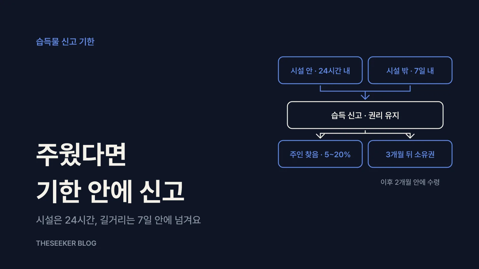 돈이나 물건을 주웠다면: 24시간·7일 원칙과 보상금