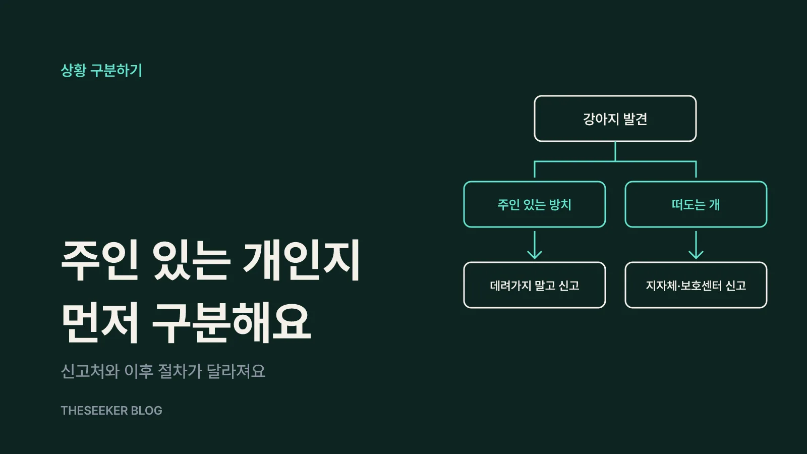 먼저 상황을 구분해요: 주인이 있는 방치인가, 떠도는 개인가