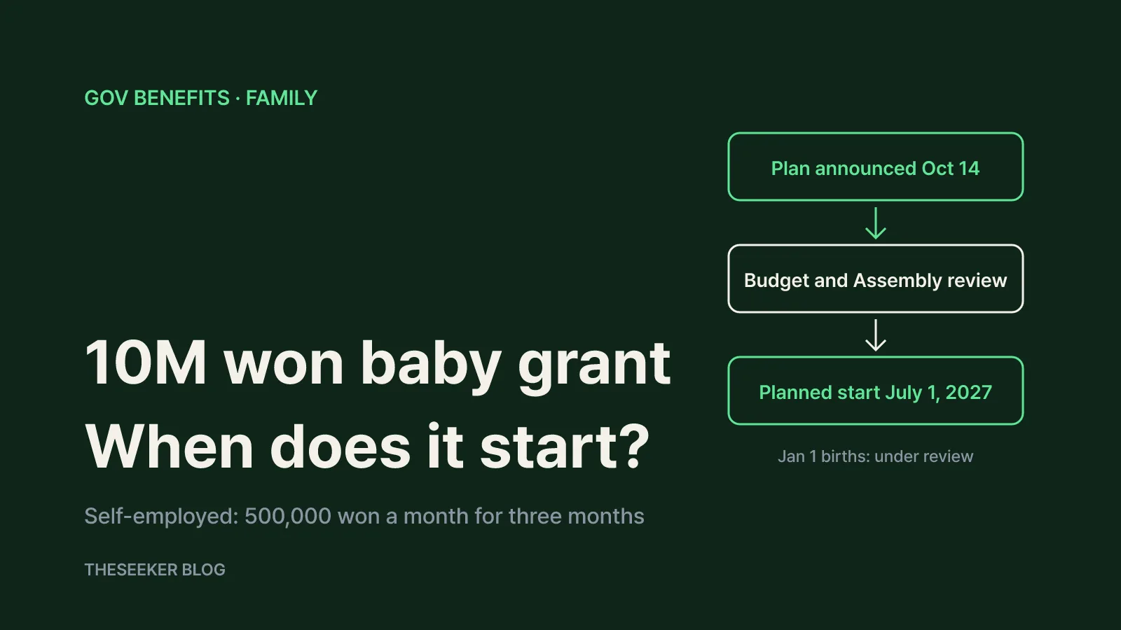 Flow showing the 10 million won first-child grant and the 500,000 won a month self-employed parental allowance passing through plan approval, the budget and implementation