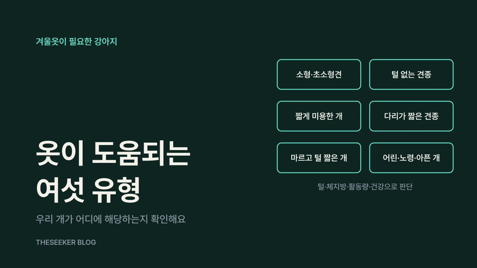 겨울옷이 도움이 되는 강아지 여섯 유형