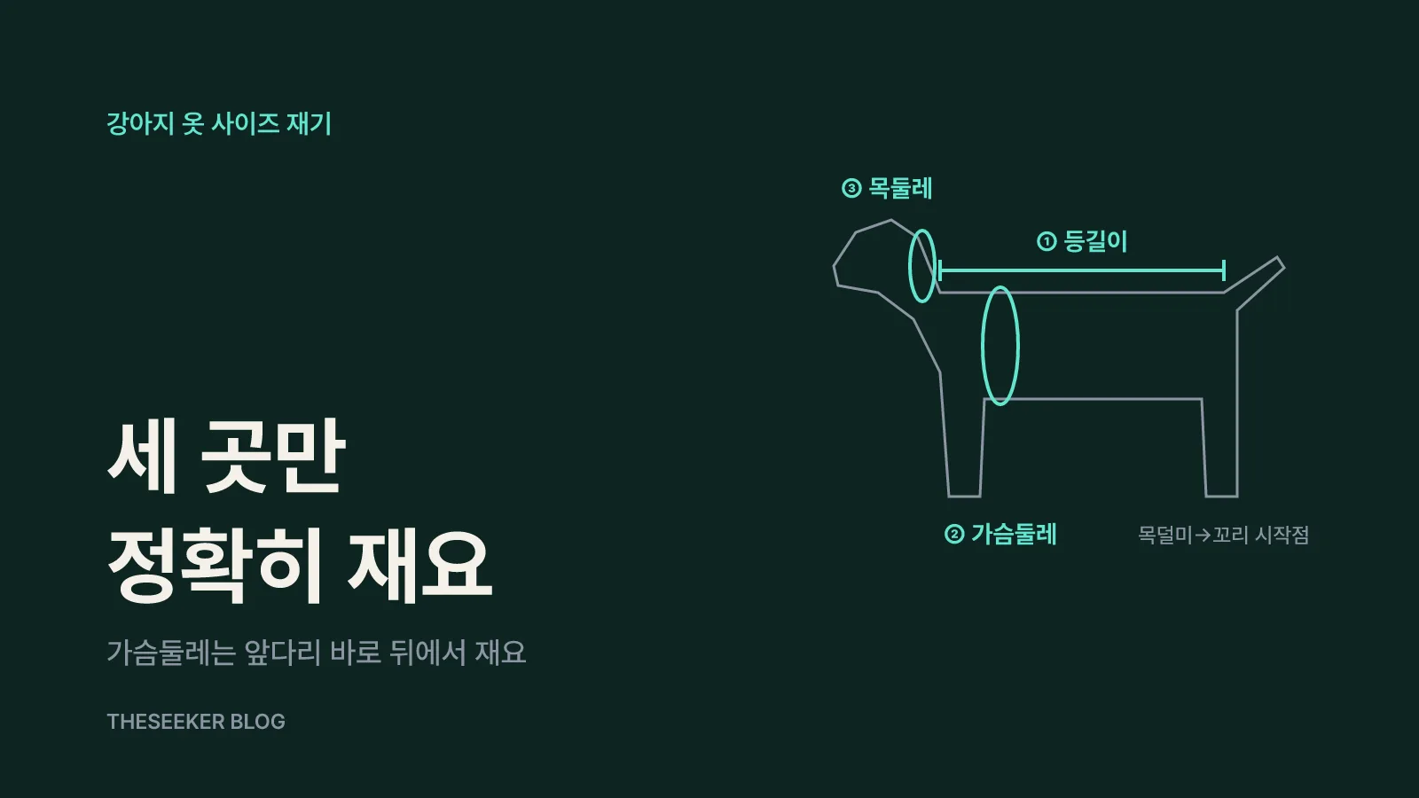 사이즈 재는 법: 목둘레·가슴둘레·등길이